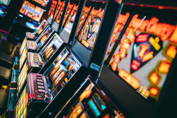 dinasti slot Live Casino